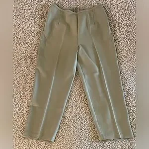 City Triangles | Pants & Jumpsuits | City Triangles Womens Dress Pants  Slacks Juniors Size 1 Light Sage Green 9s | Poshmark